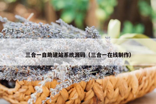 三合一自助建站系统源码（三合一在线制作）