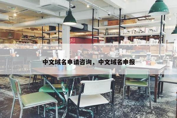 中文域名申请咨询，中文域名申报