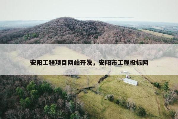 安阳工程项目网站开发，安阳市工程投标网
