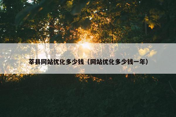 莘县网站优化多少钱（网站优化多少钱一年）