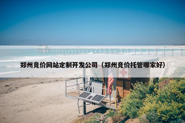 郑州竞价网站定制开发公司（郑州竞价托管哪家好）