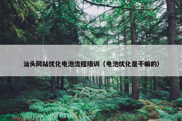 汕头网站优化电池流程培训（电池优化是干嘛的）
