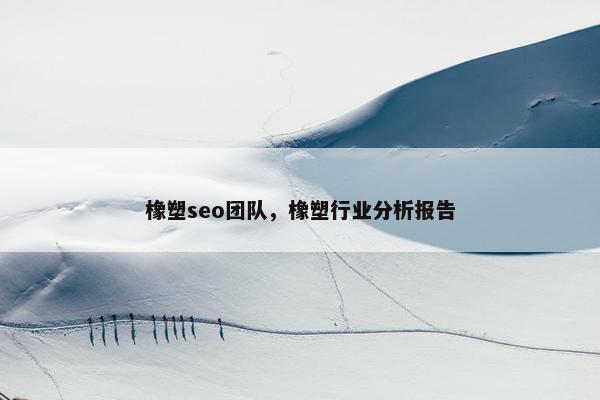 橡塑seo团队，橡塑行业分析报告