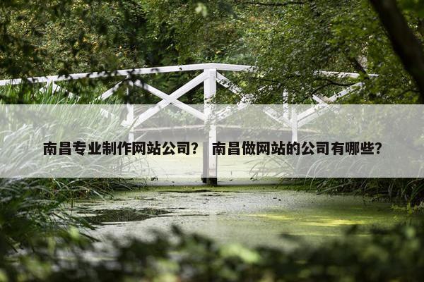 南昌专业制作网站公司？ 南昌做网站的公司有哪些？