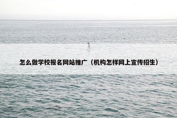 怎么做学校报名网站推广（机构怎样网上宣传招生）