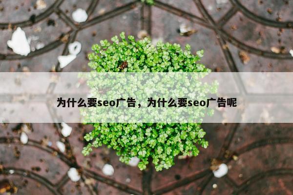为什么要seo广告，为什么要seo广告呢