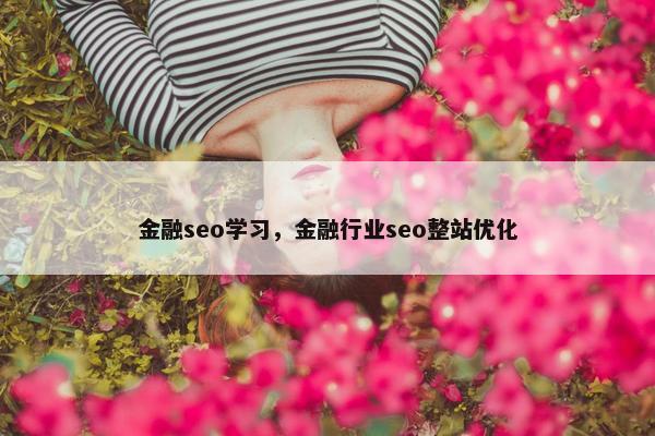 金融seo学习，金融行业seo整站优化