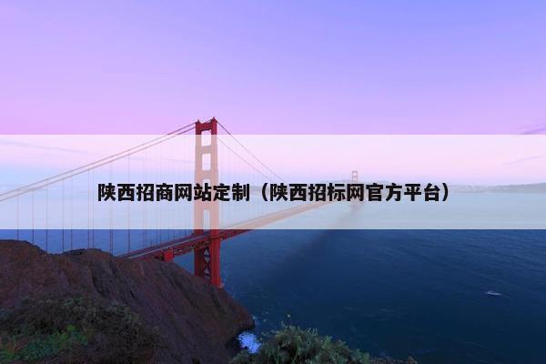陕西招商网站定制（陕西招标网官方平台）
