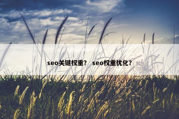 seo关键权重？ seo权重优化？