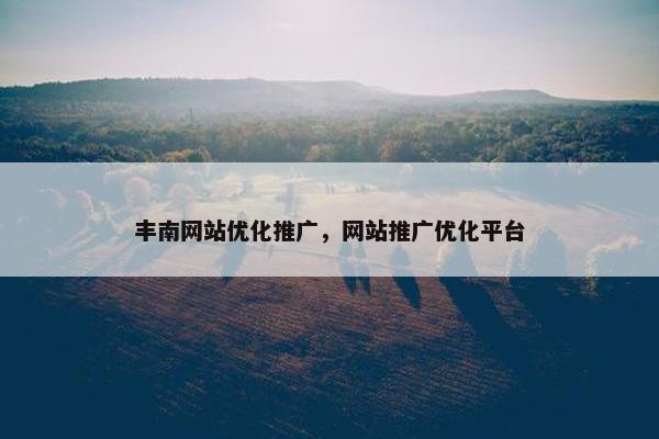 丰南网站优化推广，网站推广优化平台