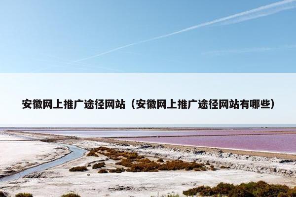 安徽网上推广途径网站（安徽网上推广途径网站有哪些）