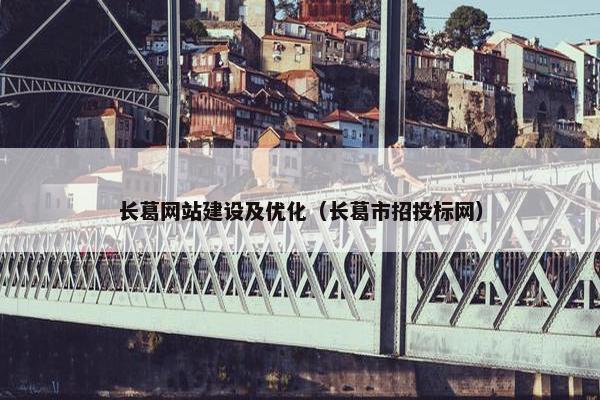 长葛网站建设及优化（长葛市招投标网）