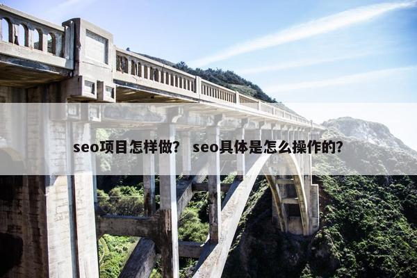 seo项目怎样做？ seo具体是怎么操作的？
