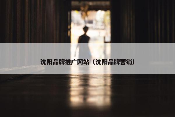 沈阳品牌推广网站（沈阳品牌营销）