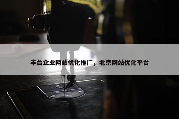 丰台企业网站优化推广，北京网站优化平台