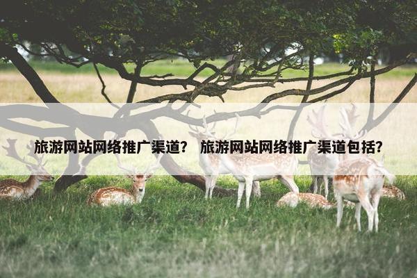 旅游网站网络推广渠道？ 旅游网站网络推广渠道包括？