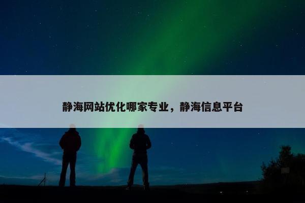 静海网站优化哪家专业，静海信息平台