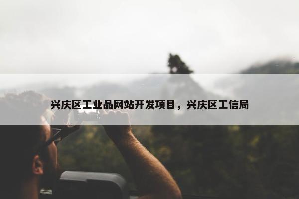兴庆区工业品网站开发项目，兴庆区工信局