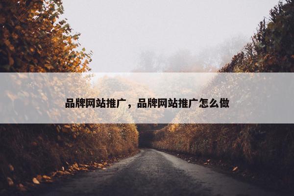 品牌网站推广，品牌网站推广怎么做