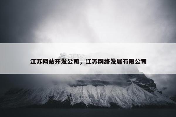 江苏网站开发公司，江苏网络发展有限公司
