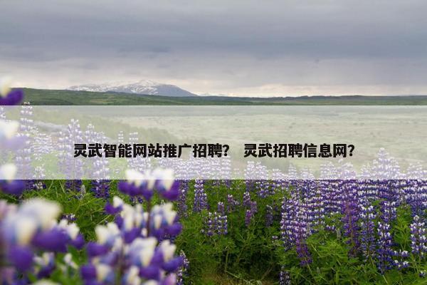 灵武智能网站推广招聘？ 灵武招聘信息网？