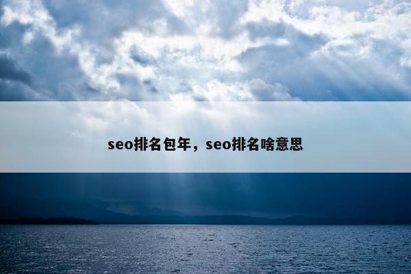 seo排名包年，seo排名啥意思