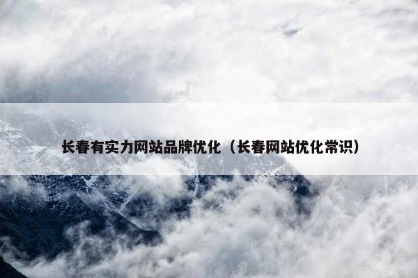 长春有实力网站品牌优化（长春网站优化常识）