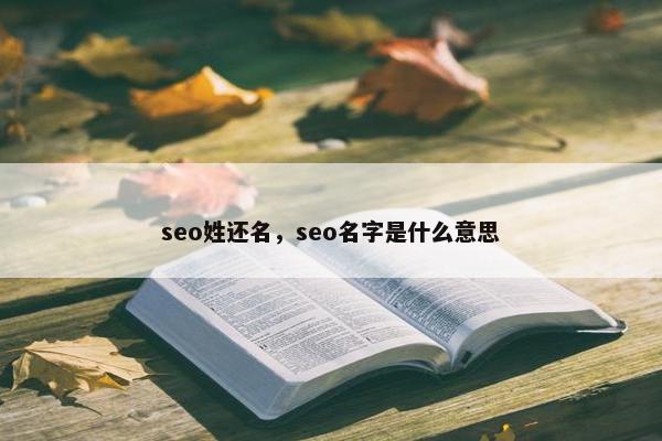 seo姓还名，seo名字是什么意思