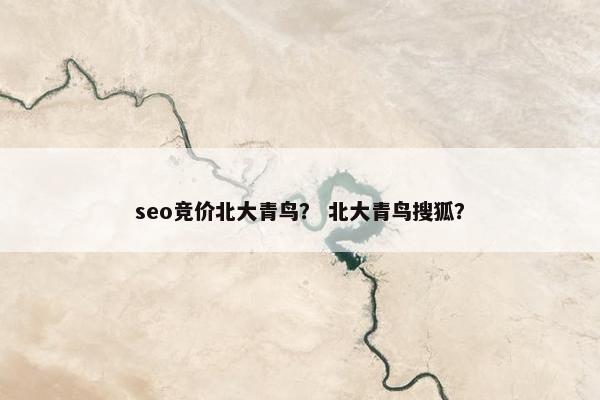 seo竞价北大青鸟？ 北大青鸟搜狐？