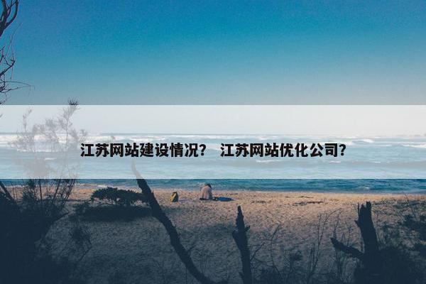 江苏网站建设情况？ 江苏网站优化公司？
