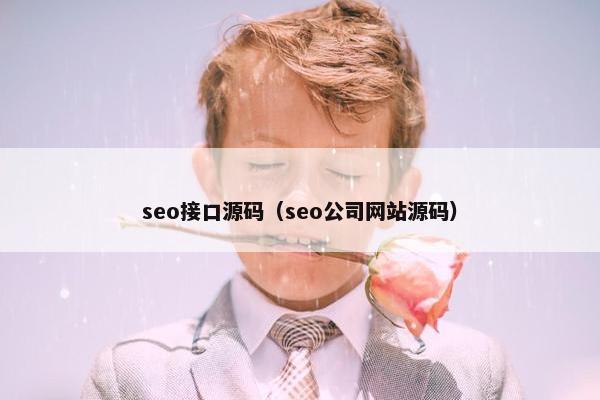 seo接口源码（seo公司网站源码）