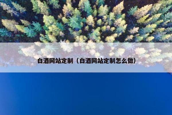 白酒网站定制（白酒网站定制怎么做）