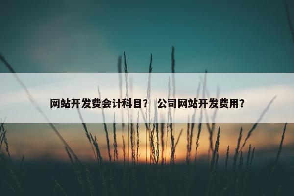 网站开发费会计科目？ 公司网站开发费用？