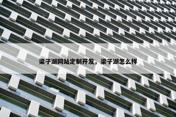 梁子湖网站定制开发，梁子湖怎么样