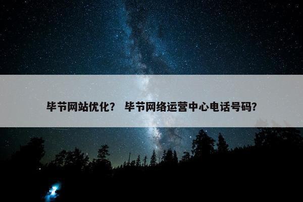 毕节网站优化？ 毕节网络运营中心电话号码？