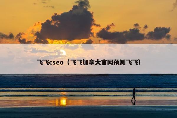 飞飞cseo（飞飞加拿大官网预测飞飞）