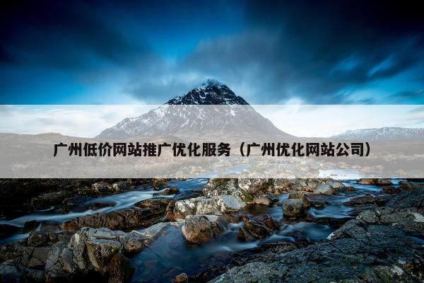 广州低价网站推广优化服务（广州优化网站公司）
