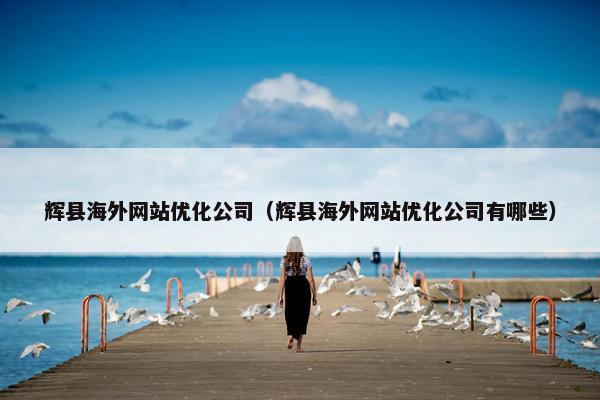 辉县海外网站优化公司（辉县海外网站优化公司有哪些）