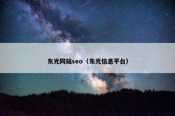 东光网站seo（东光信息平台）