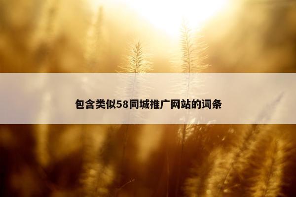 包含类似58同城推广网站的词条