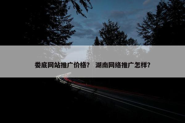 娄底网站推广价格？ 湖南网络推广怎样？