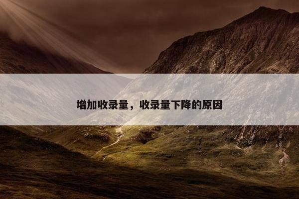 增加收录量，收录量下降的原因