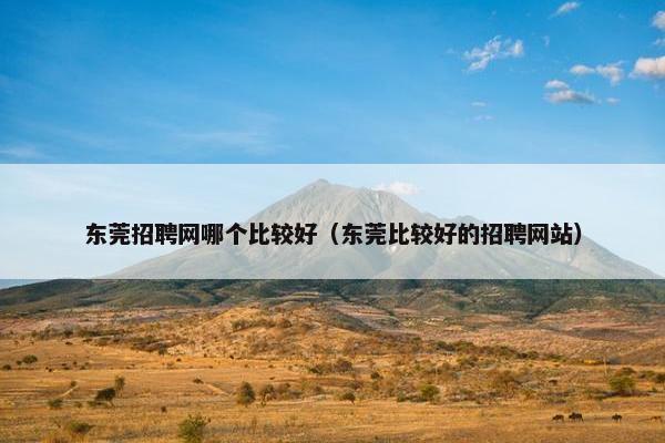 东莞招聘网哪个比较好（东莞比较好的招聘网站）