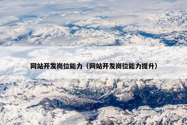 网站开发岗位能力（网站开发岗位能力提升）