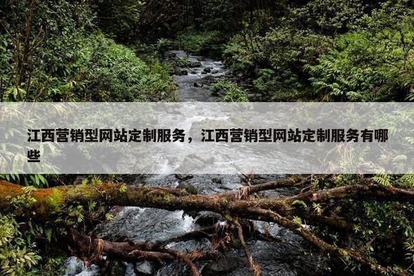 江西营销型网站定制服务，江西营销型网站定制服务有哪些