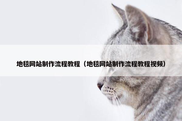 地毯网站制作流程教程（地毯网站制作流程教程视频）