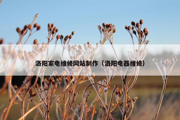 洛阳家电维修网站制作（洛阳电器维修）