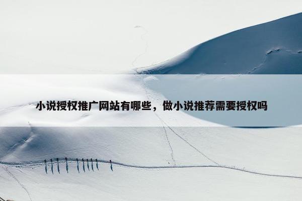 小说授权推广网站有哪些，做小说推荐需要授权吗