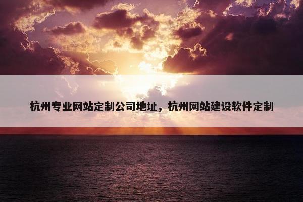 杭州专业网站定制公司地址，杭州网站建设软件定制