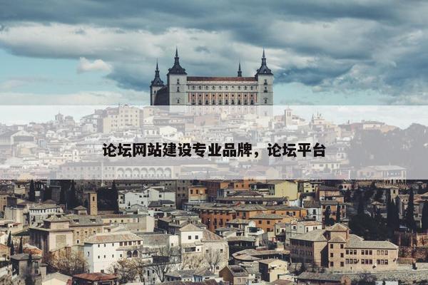 论坛网站建设专业品牌，论坛平台